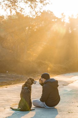 Genç adam köpeğiyle doğada eğleniyor. Güneş ışınlarıyla, sıcak ve uzun gölgelerle. Arkadaşlık ve hayvani aşk kavramı.