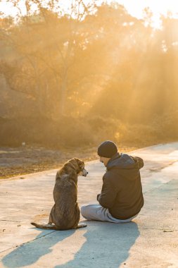 Genç adam köpeğiyle doğada eğleniyor. Güneş ışınlarıyla, sıcak ve uzun gölgelerle. Arkadaşlık ve hayvani aşk kavramı.