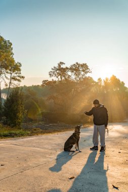 Genç adam köpeğiyle doğada eğleniyor. Güneş ışınlarıyla, sıcak ve uzun gölgelerle. Arkadaşlık ve hayvani aşk kavramı.