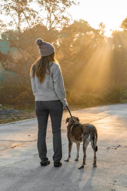 Genç bir kadın köpeğini sabah güneşinin ışınları, sıcak ve uzun gölgelerle doğada gezdirip eğitiyor. Arkadaşlık ve hayvani aşk kavramı. Sonbahar manzarası.