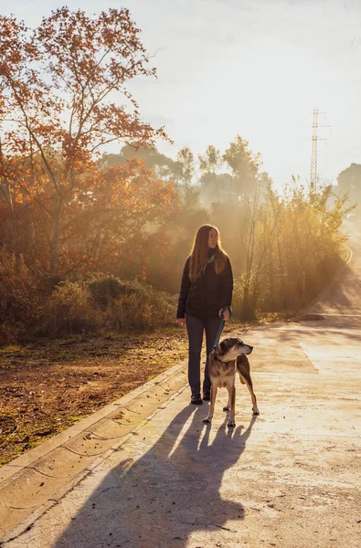 Jovem Caminhando Educando Seu Cão Natureza Com Raios Sol Manhã — Fotografia de Stock