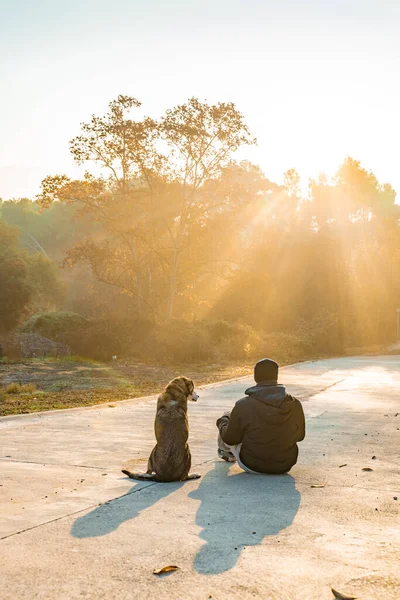 Jovem Divertindo Com Seu Cão Natureza Com Raios Sol Manhã — Fotografia de Stock