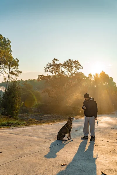 Genç adam köpeğiyle doğada eğleniyor. Güneş ışınlarıyla, sıcak ve uzun gölgelerle. Arkadaşlık ve hayvani aşk kavramı.