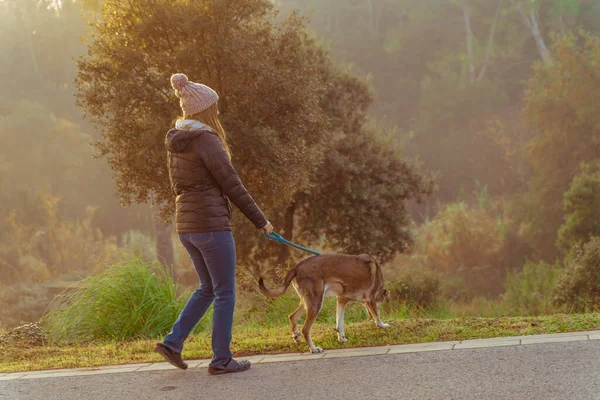 Jovem Caminhando Educando Seu Cão Natureza Com Raios Sol Manhã — Fotografia de Stock