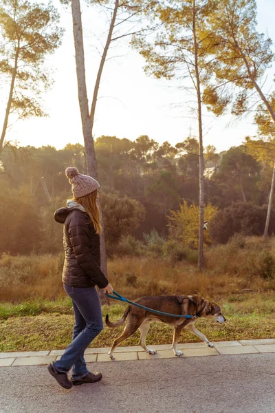 Jovem Caminhando Educando Seu Cão Natureza Com Raios Sol Manhã — Fotografia de Stock