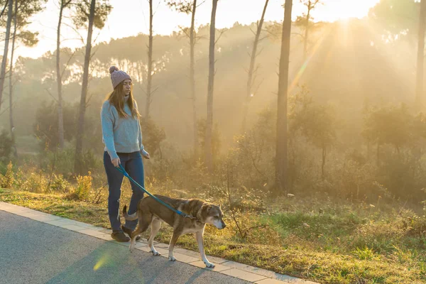 Jovem Caminhando Educando Seu Cão Natureza Com Raios Sol Manhã — Fotografia de Stock