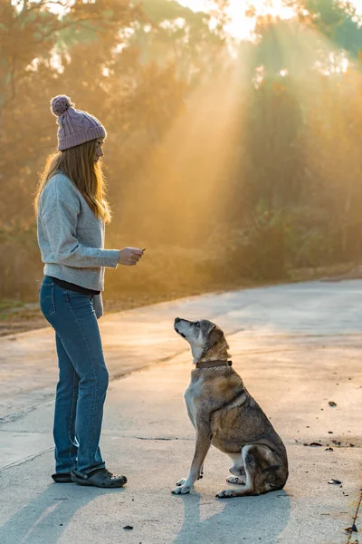 Fiatal Sétál Oktatja Kutyáját Természetben Reggeli Nap Sugaraival Meleg Ragyogással — Stock Fotó
