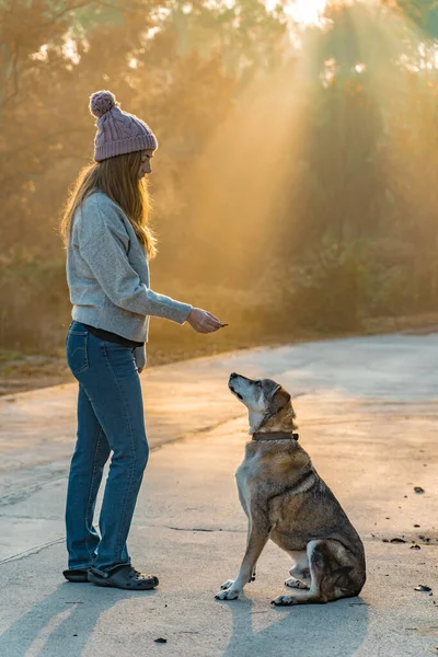 Mujer Joven Paseando Educando Perro Naturaleza Con Los Rayos Del —  Fotos de Stock