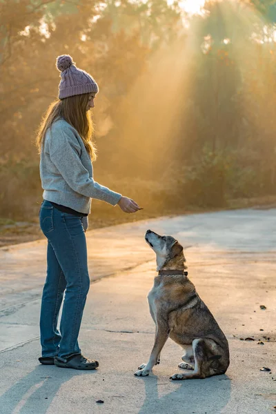 Jovem Caminhando Educando Seu Cão Natureza Com Raios Sol Manhã — Fotografia de Stock