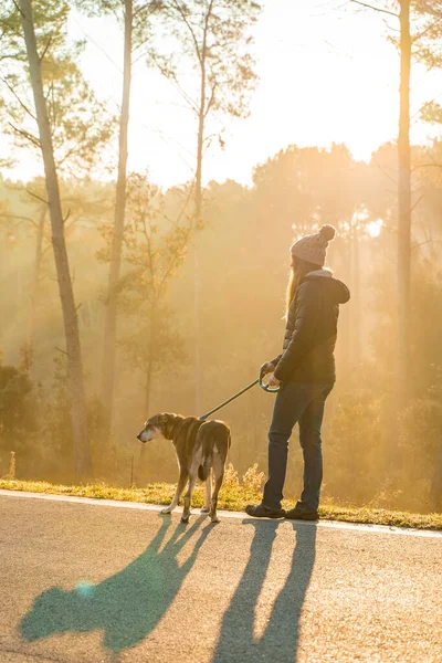 Genç Bir Kadın Köpeğini Sabah Güneşinin Işınları Sıcak Uzun Gölgelerle — Stok fotoğraf