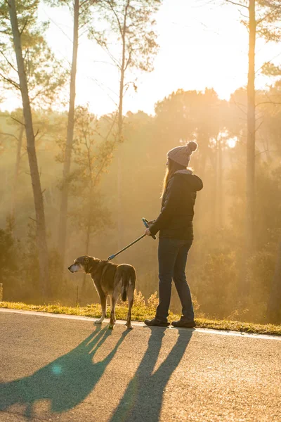 Genç Bir Kadın Köpeğini Sabah Güneşinin Işınları Sıcak Uzun Gölgelerle — Stok fotoğraf