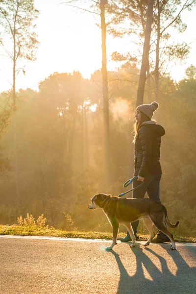 Fiatal Sétál Oktatja Kutyáját Természetben Reggeli Nap Sugaraival Meleg Ragyogással — Stock Fotó