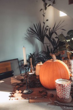 Süslü bir masada Cadılar Bayramı balkabağı. İskelet, mum, fındık. Teal ve turuncu güzel natürmort. Metin için alanı kopyala.