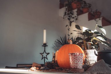 Süslü bir masada Cadılar Bayramı balkabağı. İskelet, mum, fındık. Teal ve turuncu güzel natürmort. Metin için alanı kopyala.