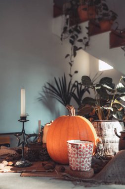 Süslü bir masada Cadılar Bayramı balkabağı. İskelet, mum, fındık. Teal ve turuncu güzel natürmort. Metin için alanı kopyala.
