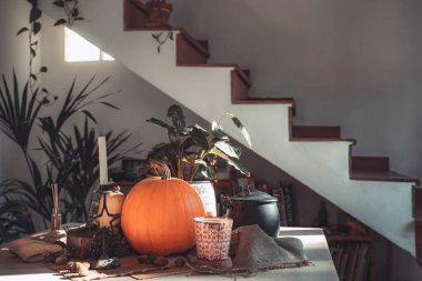 Süslü bir masada Cadılar Bayramı balkabağı. İskelet, mum, fındık. Teal ve turuncu güzel natürmort. Metin için alanı kopyala.