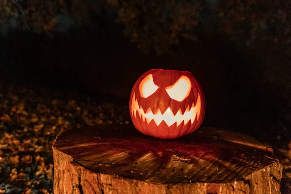 Halloween Pumpkin Face Candle Lit Fire Camp Background Spooky Face — Stock Photo, Image