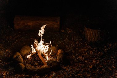 Ormanda sıcak ve sıcak bir kamp ateşi. Kamp sırasında havuz yangını..