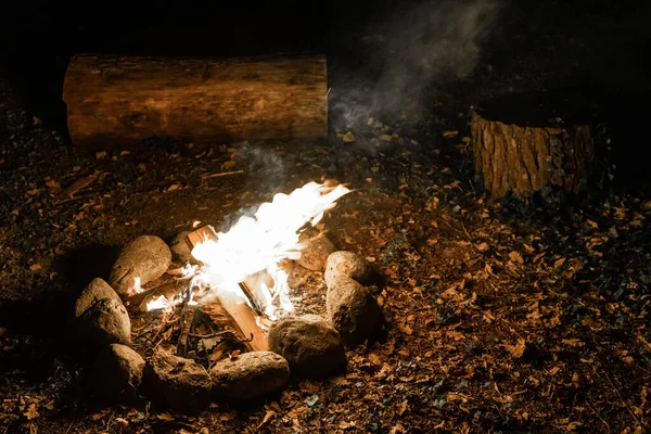 Fogata Cálida Acogedora Bosque Estanque Fuego Vacaciones Durante Camping — Foto de Stock