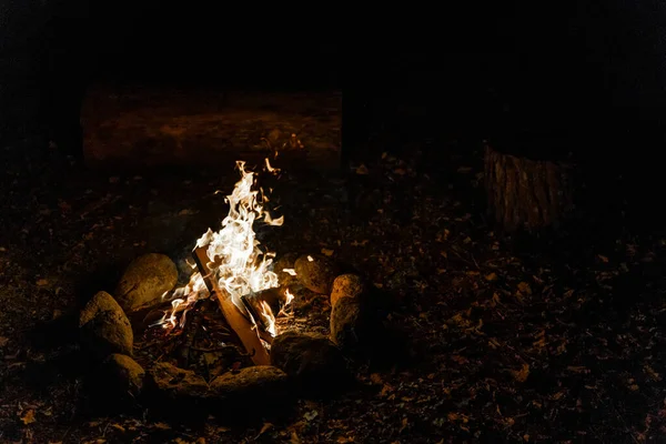 Accogliente Caldo Falò Nella Foresta Fuoco Stagno Vacanza Durante Campeggio — Foto Stock