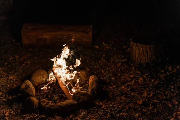 Ciepłe Przytulne Ognisko Lesie Ogień Stawu Wakacjach Podczas Kempingu — Zdjęcie stockowe