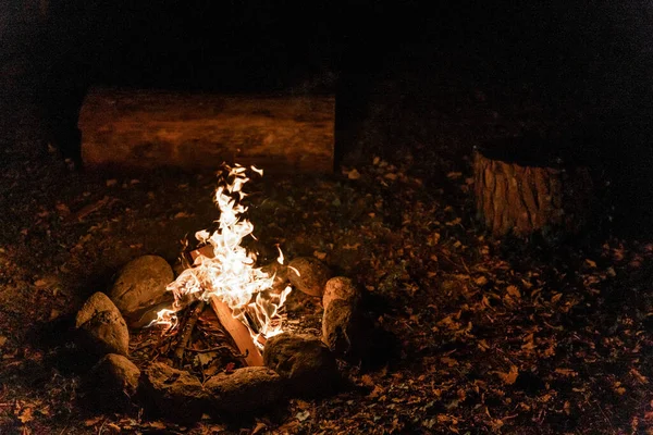 Chaleureux Confortable Feu Camp Dans Forêt Feu Étang Vacances Pendant — Photo