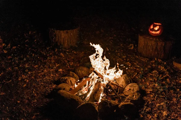 Accogliente Caldo Falò Nella Foresta Fuoco Stagno Vacanza Durante Campeggio — Foto Stock