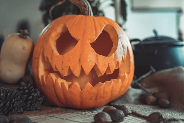 Cara Abóbora Halloween Com Vela Acesa Acampamento Fogo Fundo Cara