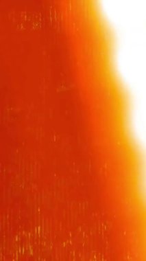 Çizik ve titreşimli klasik Grunge Film Liderleri. Yüksek kalite 4k görüntü