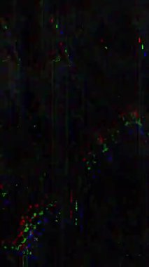 Film Tozu ve Tahıl Rengi bozulması ile dikey Retro Grunge dokusu. Yüksek kalite 4k görüntü