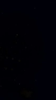 Uçan ışık parçacıkları ile soyut bir arkaplan. Yüksek kalite 4k görüntü