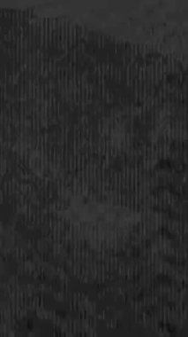 Retro Film Grain ve Gürültüsü ile dikey Analog Arızası. Yüksek kalite 4k görüntü