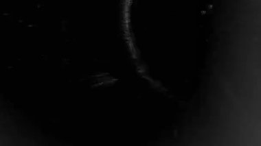 Klasik film dokusu, toz, çizikler ve parıltıyla örtüşüyor. Yüksek kalite 4k görüntü