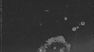 Organik Toz ve Solmuş Tahıl ile Eski Film Yüzeyi Örtüsü. Yüksek kalite 4k görüntü