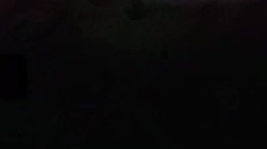 Klasik Klasik Sinema 35mm Film Lideri Titreşim ve Gürültü. Yüksek kalite 4k görüntü