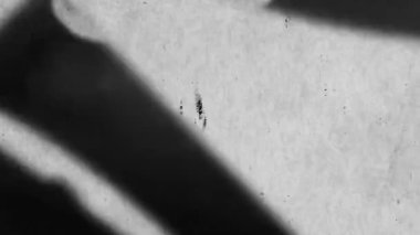 Grunge Look ile Beyaz Arkaplan Toz Parçacıkları Örtüsü. Yüksek kalite 4k görüntü