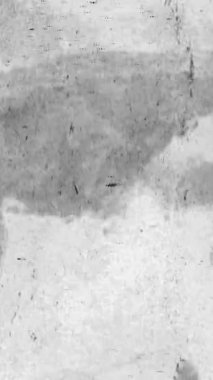 Beyaz Arkaplanda Sinema Tozu ve Tahıl Kaplaması. Yüksek kalite 4k görüntü