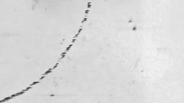 Beyaz Arkaplan Grunge Tarzı 'nda Eski Film Tozu dokusu. Yüksek kalite 4k görüntü