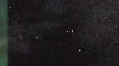 Klasik film tozu ve çizikleri tahıl dokusuyla örtüşüyor. Yüksek kalite 4k görüntü