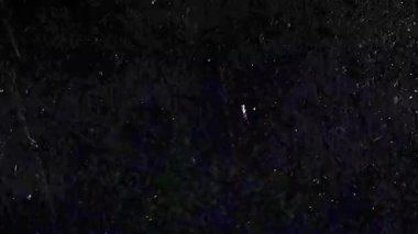 Eski Movie Grunge Üstü Tozlu Kusurlarla Kaplanmış. Yüksek kalite 4k görüntü