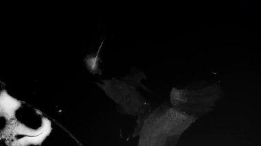 Eski tip titreşimler, filmlerdeki grunge grunge örtüşmesini engeller. Yüksek kalite 4k görüntü