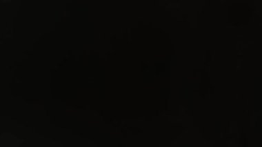 İnce optik parıltılı doğal lens parlamaları. Yüksek kalite 4k görüntü