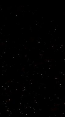 Yumuşak ışıkta yükselen sihirli toz parçacıkları. Yüksek kalite 4k görüntü