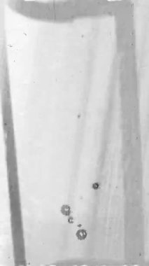 Beyaz Arkaplanlı Retro Toz ve Tahıl Kaplaması. Yüksek kalite 4k görüntü