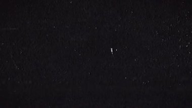 Beyaz Film Flaş Geçiş Kaplaması. Yüksek kalite 4k görüntü