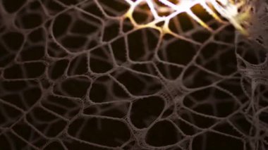 Sıkıntılı grunge dokusu cesur detaylarla örtüşüyor. Yüksek kalite 4k görüntü