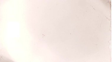 Klasik film kusurları çizikler, toprak ve tahıl sürüklenmesi ile örtüşüyor. Yüksek kalite 4k görüntü