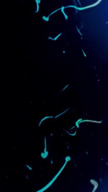 Dikey Kabataslak hareket grafikleri ve klasik film çizikleri. Yüksek kalite 4k görüntü