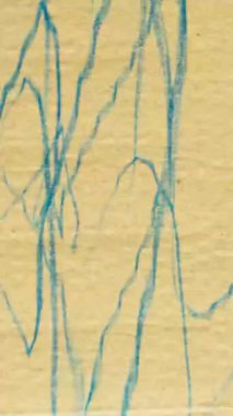 Ters etki için kaba kaotik çizgiler hareket arkaplanı. Yüksek kalite 4k görüntü