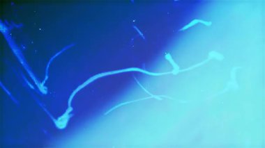 Çiğ analog grunge film lideri yüzeyi koyu dokulu hareket ile. Yüksek kalite 4k görüntü